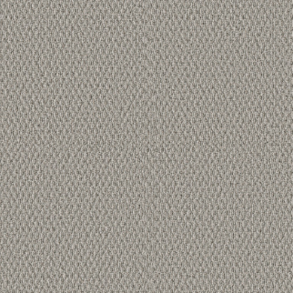 Shaw Floors StoneBrook Pewter SHAW