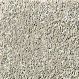 Shaw Floors Basic Rules Platinum SHAW