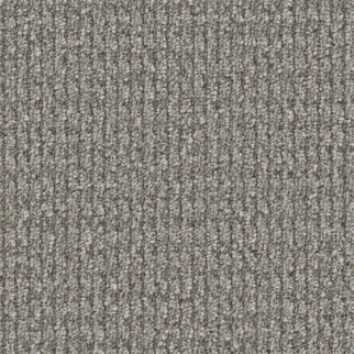 Shaw Floors Prelude Precursor SHAW