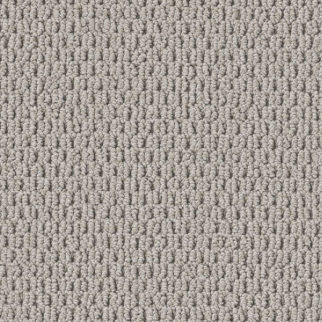 Shaw Floors Perspective Path Quest SHAW