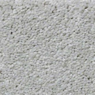 Shaw Floors Well Played II 15 Sheer Silver SHAW