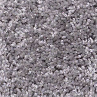 Shaw Floors One Over All Silhouette SHAW