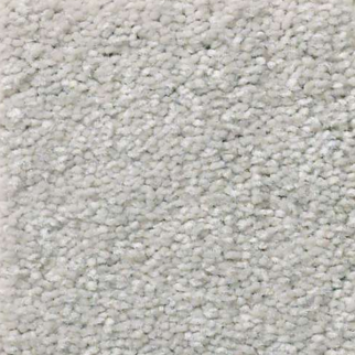 Shaw Floors Attainable Platinum SHAW