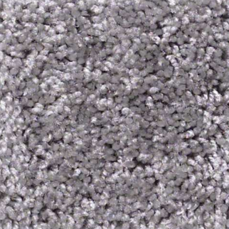 Shaw Floors Dreamin 12' Sterling SHAW