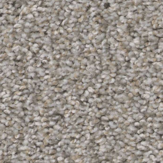 Shaw Floors Always Right II Sterling SHAW