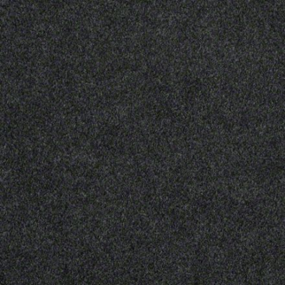 Philadelphia Commercial Soft Scape I 12' Ashes Shaw