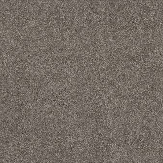 Shaw Floors Yes You Can I 12' Ashes SHAW