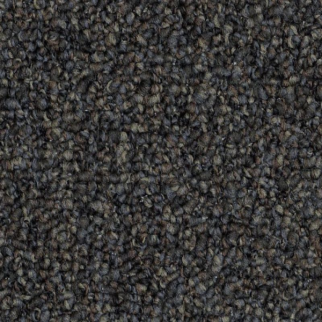 Shaw Floors Invincible 26 Black Diamond SHAW