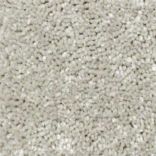 Shaw Floors Well Played I 15 Dove Tail SHAW