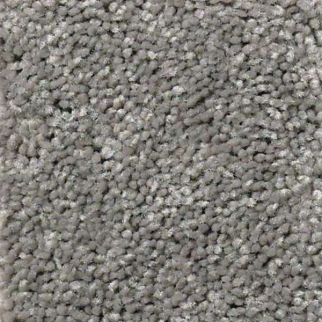 Shaw Floors Full Court 12 Ink Spot SHAW