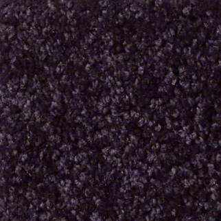 Shaw Floors Fielders Choice 12 Ink Spot SHAW