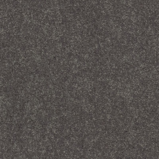 Shaw Floors Easy Spirit I 12 Iron SHAW