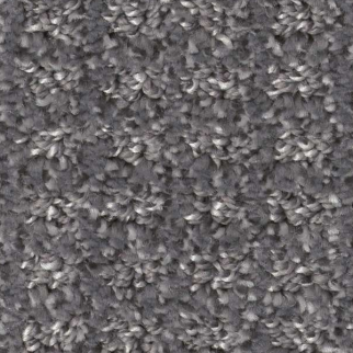 Shaw Floors Stay Fit Shipwreck SHAW