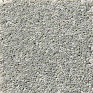 Shaw Floors Basic Rules Sterling SHAW