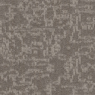 Philadelphia Commercial Mindful Movement Abalone Shaw