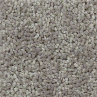 Shaw Floors Fielders Choice 12 Armour SHAW