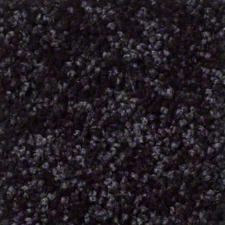 Shaw Floors Fielders Choice 15 Armour SHAW