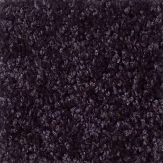 Shaw Floors All Star Weekend I 12' Armour SHAW