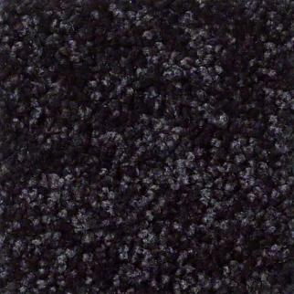 Shaw Floors Full Court 12 Armour SHAW