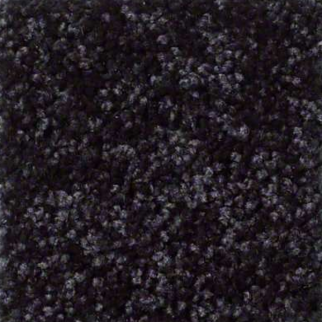 Shaw Floors Full Court 15 Armour SHAW