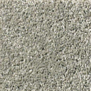 Shaw Floors Basic Rules Flax SHAW