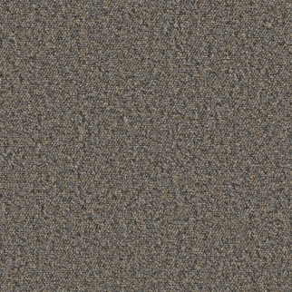 Philadelphia Commercial Avenue Jackson Shaw