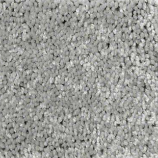 Shaw Floors Well Played I 15 Nickel SHAW