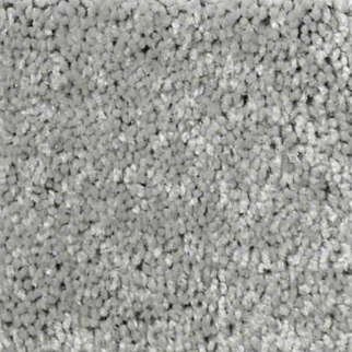 Shaw Floors Well Played II 15 Nickel SHAW