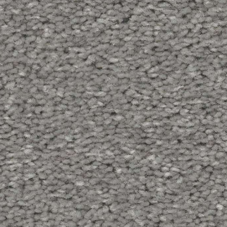 Shaw Floors Well Made Nickel SHAW