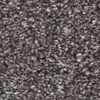 Shaw Floors Yes You Can I 12' Shadow SHAW