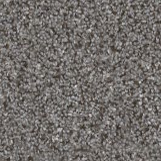 Shaw Floors Without Limits I Silver Spoon SHAW