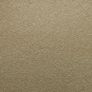 Tarkett Home Carpets Whisper Moonstone LEXMARK