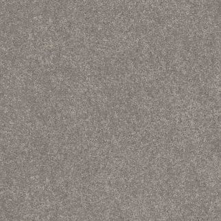 Shaw Floors Easy Spirit I 12 Dusty Trail SHAW