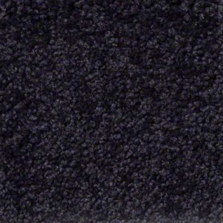 Shaw Floors Ultimate Expression 15' Graphite SHAW