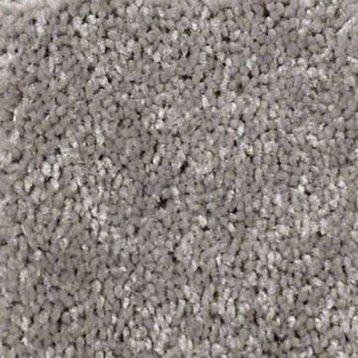 Shaw Floors Well Played I 15 Thunder SHAW