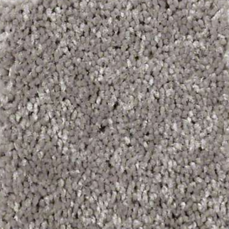 Shaw Floors Well Played II 15 Thunder SHAW