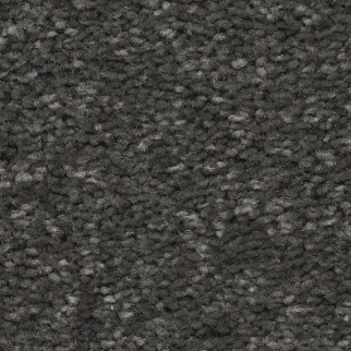 Shaw Floors Well Made Charcoal SHAW