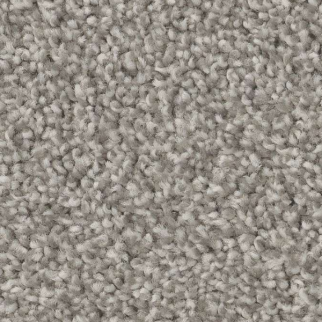 Shaw Floors Trusolutions II Concrete SHAW