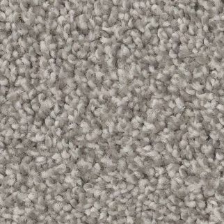 Shaw Floors Trusolutions III Concrete SHAW