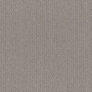 Shaw Floors Translate Steel Beam SHAW