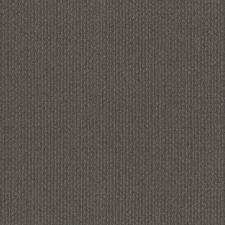 Philadelphia Commercial Format Concept Shaw