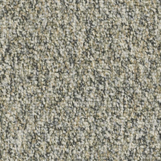 Shaw Floors Invincible 26 Brazed Steel SHAW