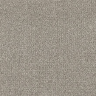 Shaw Floors Translate Fossil SHAW