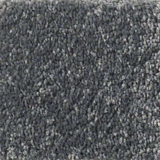 Shaw Floors Basic Rules Steel SHAW