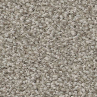 Shaw Floors Trusolutions I Stone Path SHAW