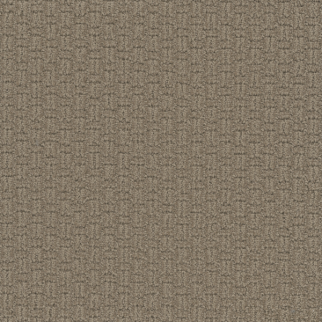 Dreamweaver Carpet Grand Isle Tanglewood DREAMWEAVER