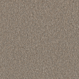 Dreamweaver Carpet Timberline I Cozy Path DREAMWEAVER