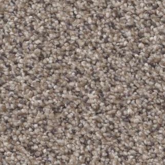 Shaw Floors Truspirit I Concrete SHAW