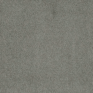 Tarkett Home Carpets Whisper Platinum LEXMARK