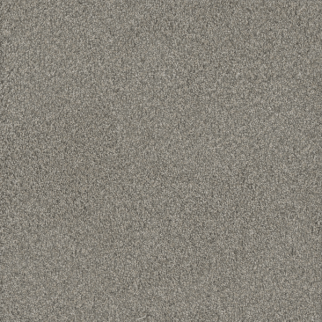 Dreamweaver Carpet No Limits I Dewberry DREAMWEAVER